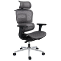 Chaise Ergonomique 627A Noir et Gris